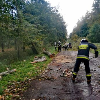 Porywisty wiatr szaleje nad Powiatem. Strażacy mają pełne ręce roboty [AKTUALIZACJA]