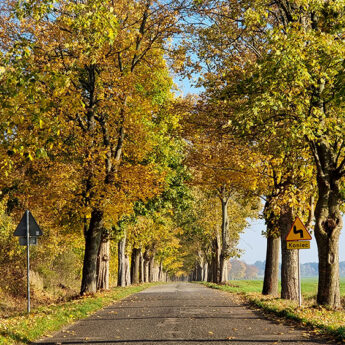 Prognoza na długi listopadowy weekend Prognoza na długi listopadowy weekend