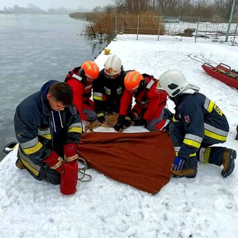 Sarna utknęła na lodzie. Na pomoc ruszyli strażacy z Wolina