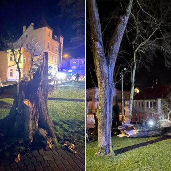 Zerwane linie energetyczne i połamane drzewa. Niż Nadia zbiera żniwo nad Powiatem Kamieńskim