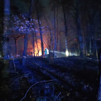 Ktoś umyślnie podpala las w Kępicy. Strażacy interweniowali dwukrotnie