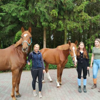 Zespół Szkół w Benicach zyskał nowe konie