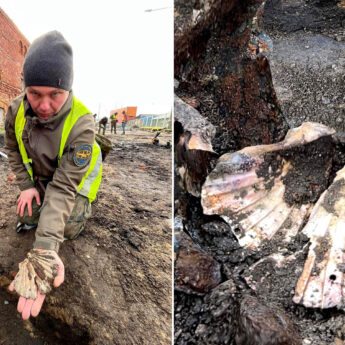 Prawdziwa archeologiczna perła odkryta w Kamieniu Pomorskim! To jeden z ośmiu eksponatów w kraju!