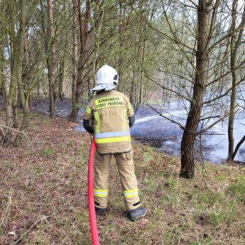Pożar lasu pod Ostromicami. Interweniowali strażacy z Wolina, Kamienia i Wysokiej Kamieńskiej