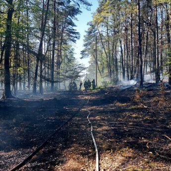 Pożar lasu nieopodal Grodna. Strażacy walczyli z ogniem kilka godzin
