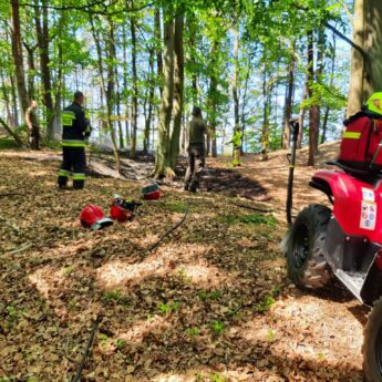 Pożar lasu nieopodal Grodna. Interweniowali strażacy i pracownicy parku