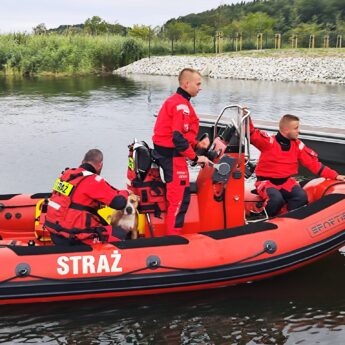 Pies nie mógł wydostać się z wody. Pomogli strażacy z Wolina