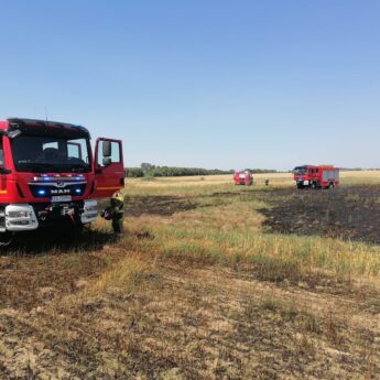 20 hektarów w ogniu! Na miejscu walczyli strażacy z całej okolicy