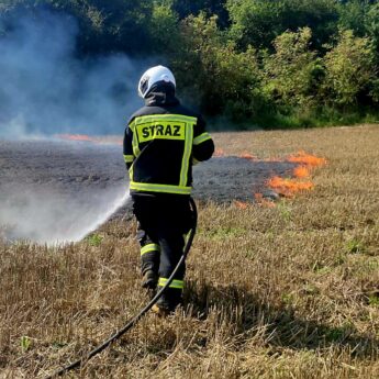 Pożar nieużytków w Kukułowie. Interweniowali strażacy