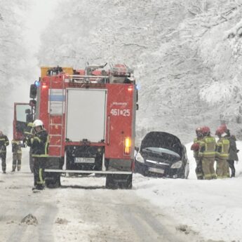 Auto wypadło z drogi. Interweniowali strażacy