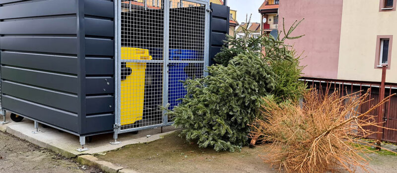 Kiedy oddać choinkę po świętach? MPGK w Wolinie podało daty