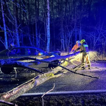 Samochód uderzył w powalone drzewo. Interweniowali strażacy z Kołczewa
