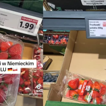 Porównała ceny produktów w Niemczech i Polsce. Cena truskawek powala!