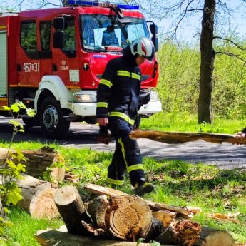 Drzewo spadło na jezdnię. Strażacy szybko uporali się z zawalidrogą