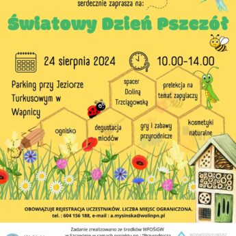 Światowy dzień pszczół w Wapnicy