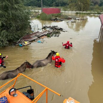 Tak ratownicy SAR z Dziwnowa i WOPR z Międzyzdrojów działają na terenach dotkniętych powodzią!