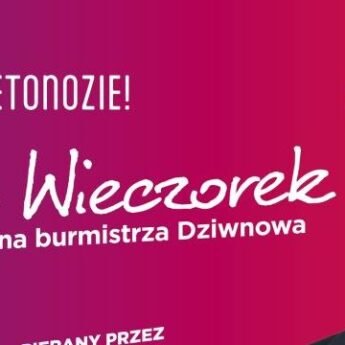 Cezary Wieczorek prezentuje swój program - "Stop betonozie"