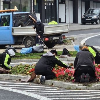 Zielone Międzyzdroje w twoim ogrodzie! Przyjdź po sadzonki i cebulki kwiatów