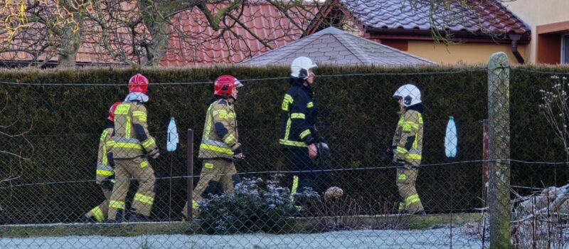 Pożar w Trzebieszewie. Trzy zastępy straży pożarnej w akcji