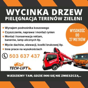 WYCINKA DRZEW