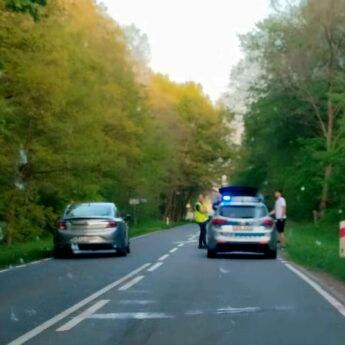 Zderzenie samochodu osobowego ze zwierzęciem. Jedna osoba poszkodowana Zderzenie samochodu osobowego ze zwierzęciem. Jedna osoba poszkodowana