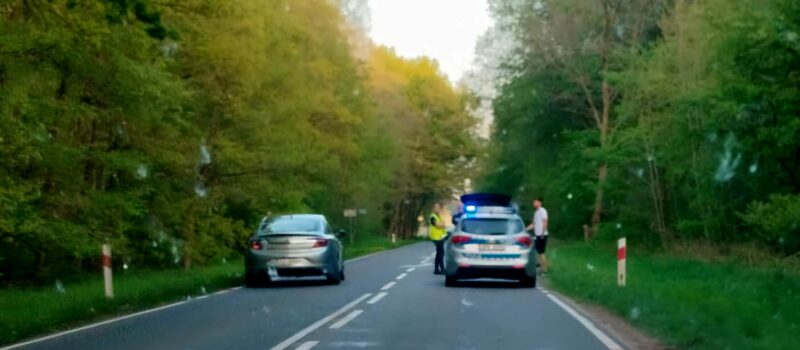 Zderzenie samochodu osobowego ze zwierzęciem. Jedna osoba poszkodowana