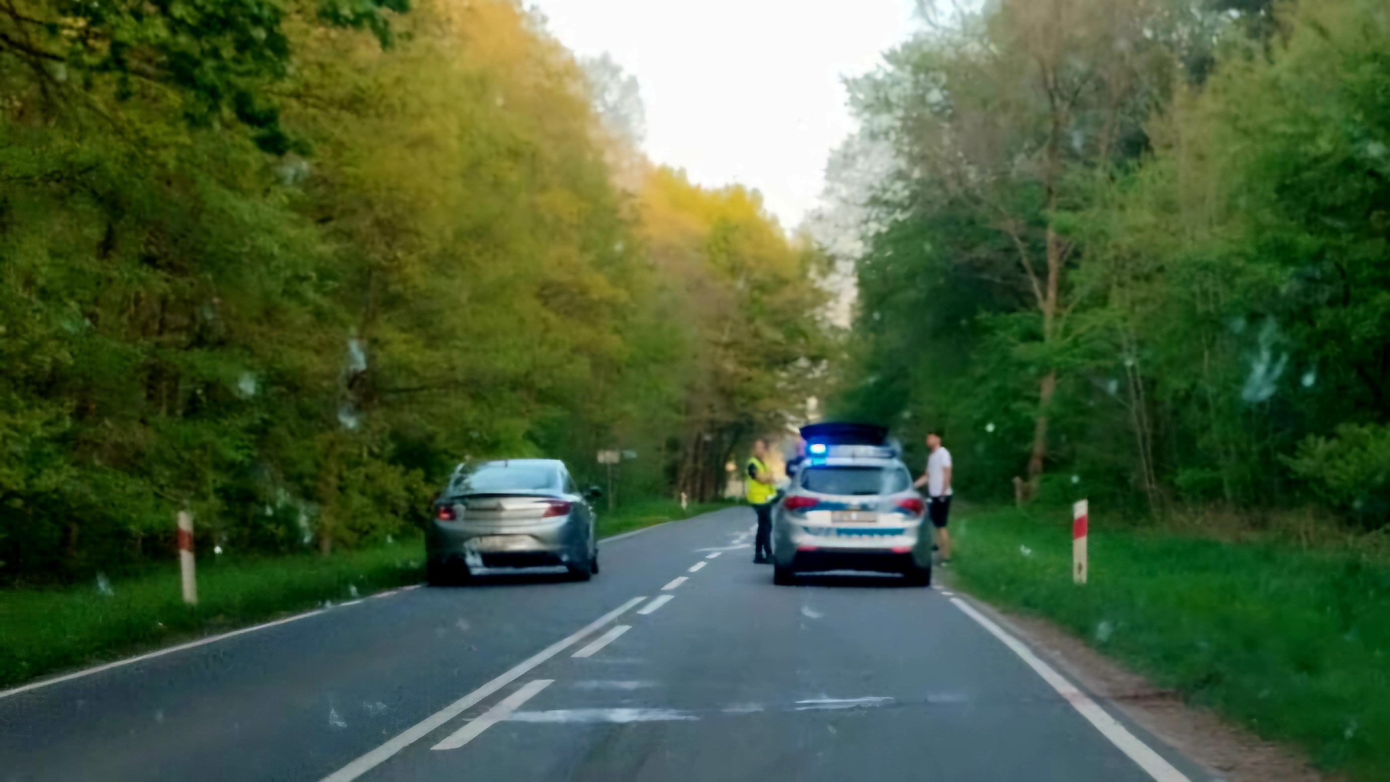 Zderzenie samochodu osobowego ze zwierzęciem. Jedna osoba poszkodowana