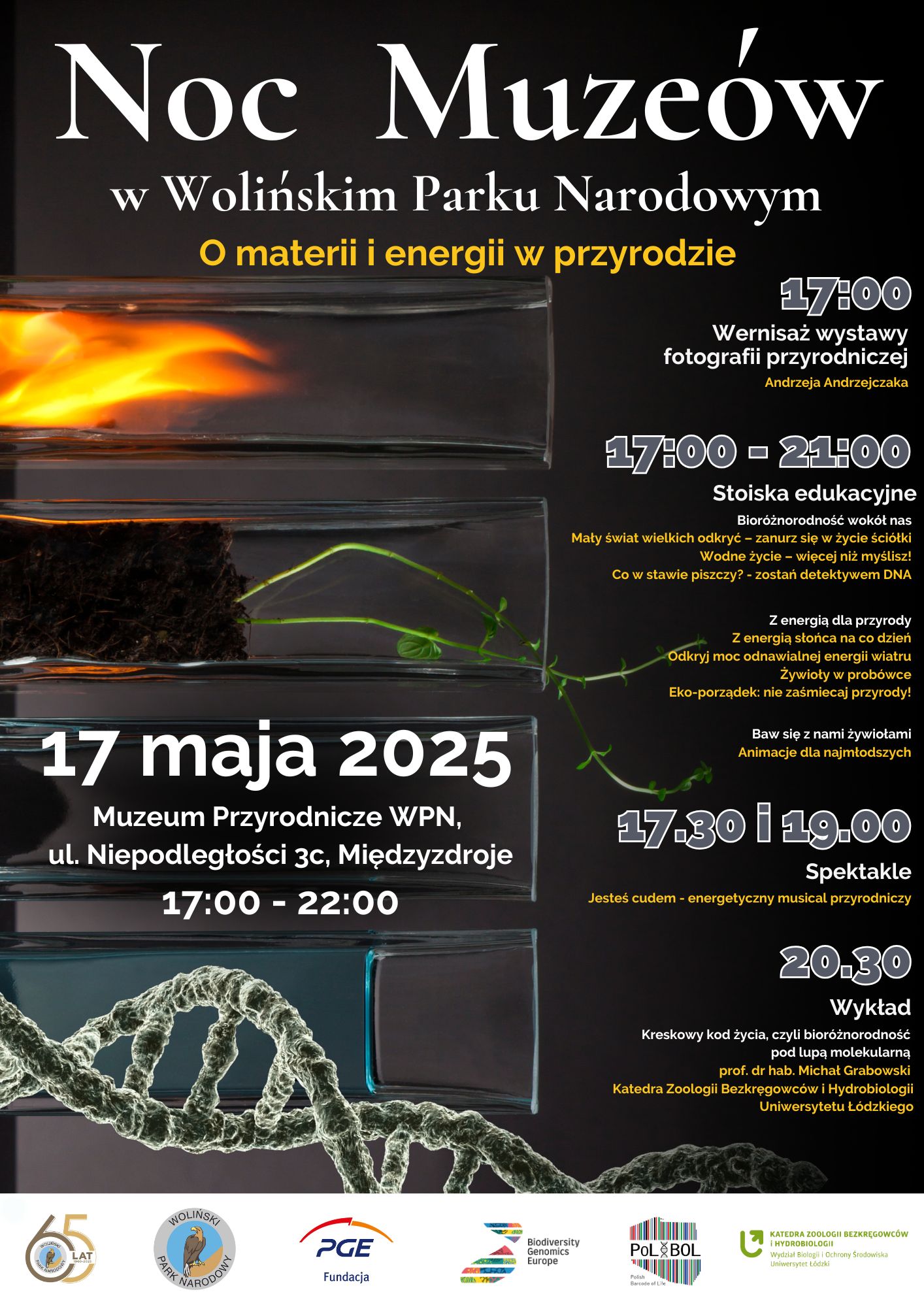 tekst alternatywny