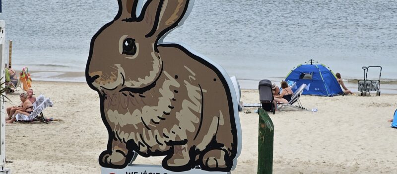 Zwierzęta wskazują drogę na plażę. Nietypowe oznaczenia wejść w Międzyzdrojach