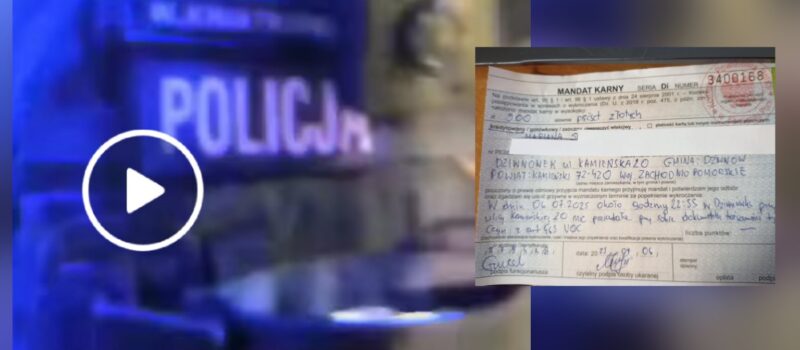 500 złotych za paszport w pokoju? "Nielegalny imigrant bez dokumentów też dostałby mandat?"