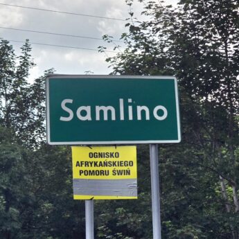 ASF w Samlinie: Wojewoda wprowadza strefy zapowietrzoną i zagrożoną. Restrykcje obejmują trzy powiaty ASF w Samlinie: Wojewoda wprowadza strefy zapowietrzoną i zagrożoną. Restrykcje obejmują trzy powiaty