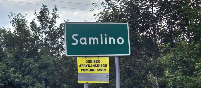 ASF w Samlinie: Wojewoda wprowadza strefy zapowietrzoną i zagrożoną. Restrykcje obejmują trzy powiaty