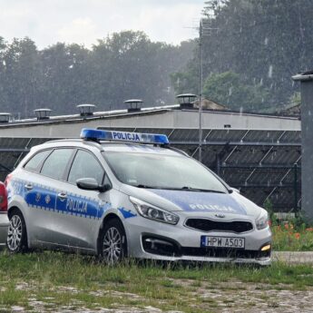 ASF w Samlinie! Kilka tysięcy świń do utylizacji! ASF w Samlinie! Kilka tysięcy świń do utylizacji!