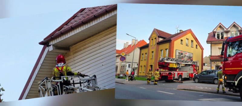 Niecodzienna akcja strażaków. Pomogli uwięzionemu ptakowi