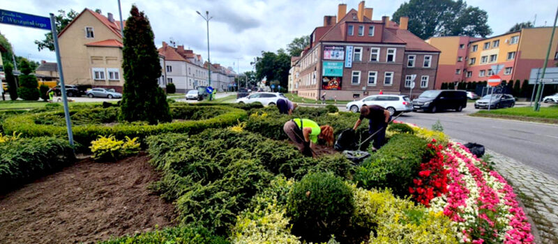 Podkaszarki i zamiatarki w akcji. PGK dba o letni blask Kamienia Pomorskiego