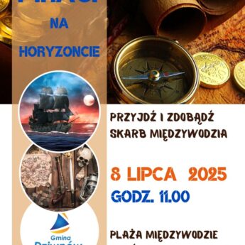 Piraci na horyzoncie, zdobądź skarb
