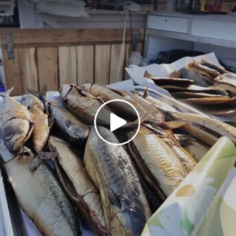 Portowy targ rybny w Dziwnowie za nami! [FILM]