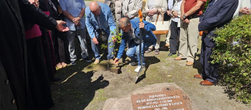 W Kamieniu Pomorskim zasadzono „Dąb Pamięci” ks. infułata Romana Kostynowicza