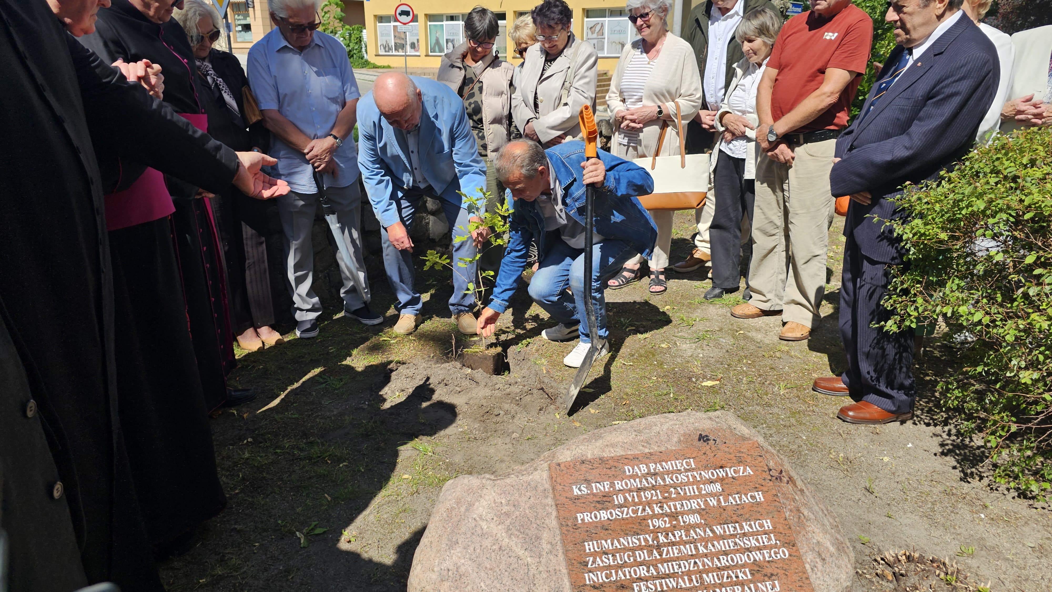 W Kamieniu Pomorskim zasadzono „Dąb Pamięci” ks. infułata Romana Kostynowicza