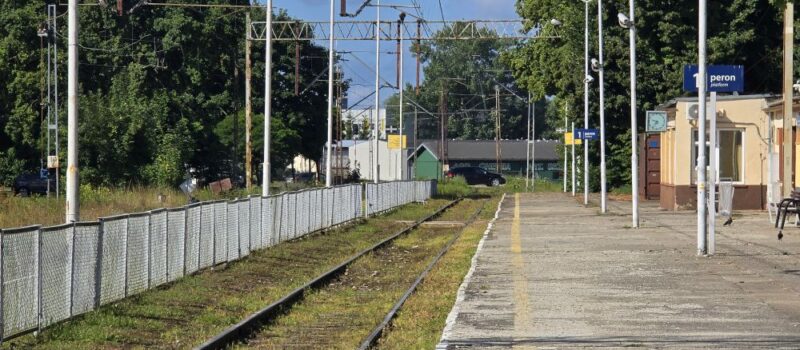 Drzewo spadło na sieć trakcyjną. Ruch pociągów pomiędzy Kamieniem Pomorskim a Wysoką Kamieńską wstrzymany