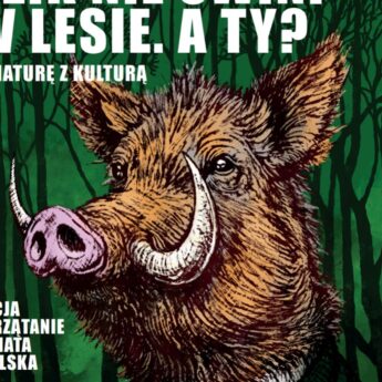 Kołczewo łączy siły dla środowiska. Sprzątanie Świata z OSP i Kołem Łowieckim Kołczewo łączy siły dla środowiska. Sprzątanie Świata z OSP i Kołem Łowieckim