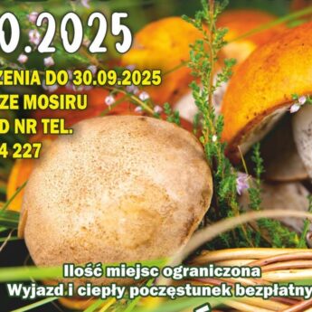 Seniorzy z Kamienia Pomorskiego wyruszą na wspólne grzybobranie Seniorzy z Kamienia Pomorskiego wyruszą na wspólne grzybobranie