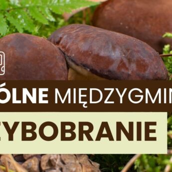Integracja mieszkańców gmin Świerzno i Brojce. Wyjazdowe międzygminne grzybobranie Integracja mieszkańców gmin Świerzno i Brojce. Wyjazdowe międzygminne grzybobranie