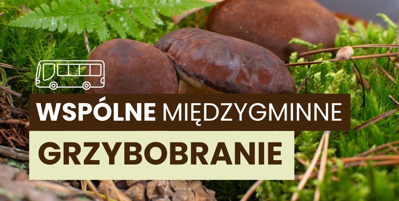 Integracja mieszkańców gmin Świerzno i Brojce. Wyjazdowe międzygminne grzybobranie