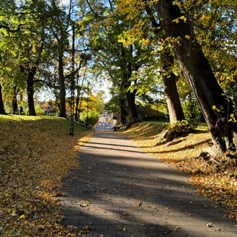 Pogoda zaskoczy na Wszystkich Świętych. Nadchodzi fala ciepła! Pogoda zaskoczy na Wszystkich Świętych. Nadchodzi fala ciepła!