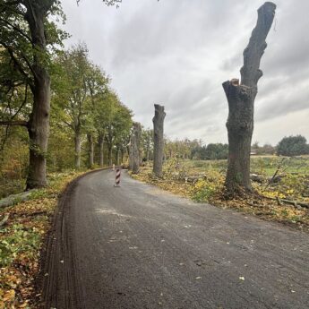 Uwaga kierowcy! Trwa wycinka drzew na trasie Gostyniec – Świerzno Uwaga kierowcy! Trwa wycinka drzew na trasie Gostyniec – Świerzno