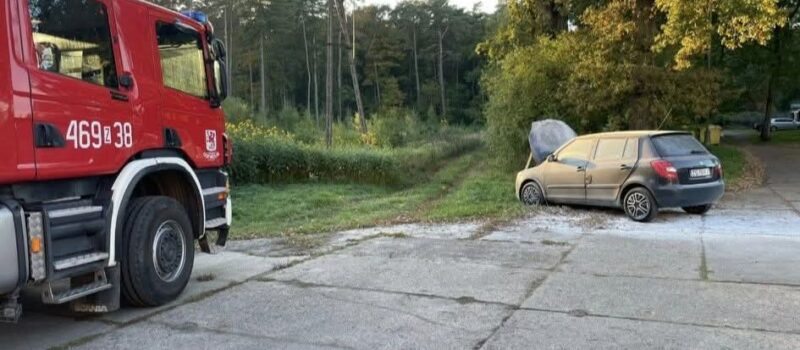 Pożar samochodu w Piaskach Wielkich. Interweniowały dwa zastępy straży pożarnej