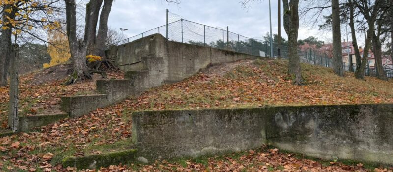 Zieleń zamiast betonu! Międzyzdroje inwestują w przyszłość Zieleń zamiast betonu! Międzyzdroje inwestują w przyszłość