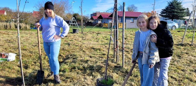 W Łukęcinie powstaje park. Mieszkańcy posadzili drzewa na Osiedlu Brzozowym W Łukęcinie powstaje park. Mieszkańcy posadzili drzewa na Osiedlu Brzozowym