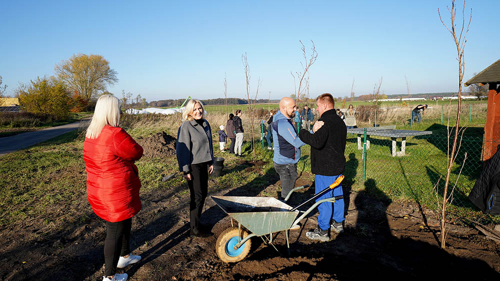 Rzeczyn zakwitnie wiśniami japońskimi. Mieszkańcy, burmistrz i prezes MPGK posadzili drzewka z imionami